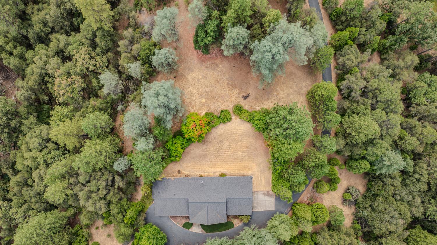 19491 East Clinton Road Jackson, CA 95642 - Photo 14 of 72 an aerial view of a house with a yard and large trees