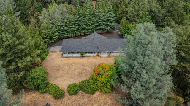 a living room with furniture a fireplace and a floor to ceiling window
