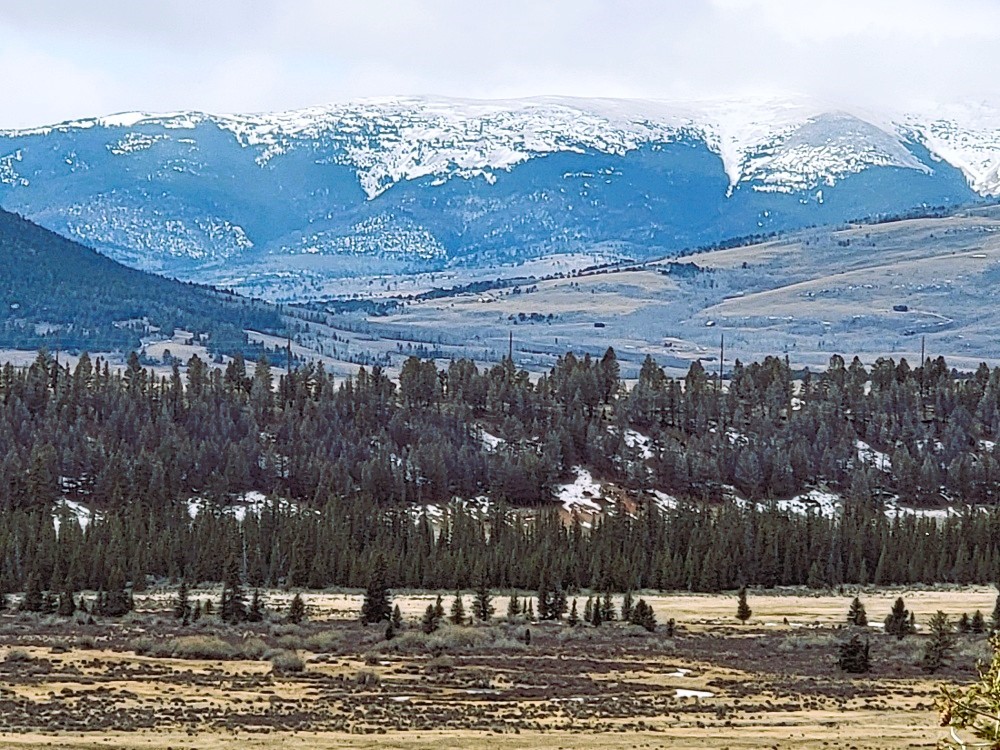 403 Redhill Road Fairplay, CO 80440 - Photo 1 of 40 a view of a outdoor space