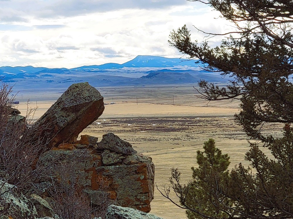 403 Redhill Road Fairplay, CO 80440 - Photo 11 of 40 a view of a ocean view