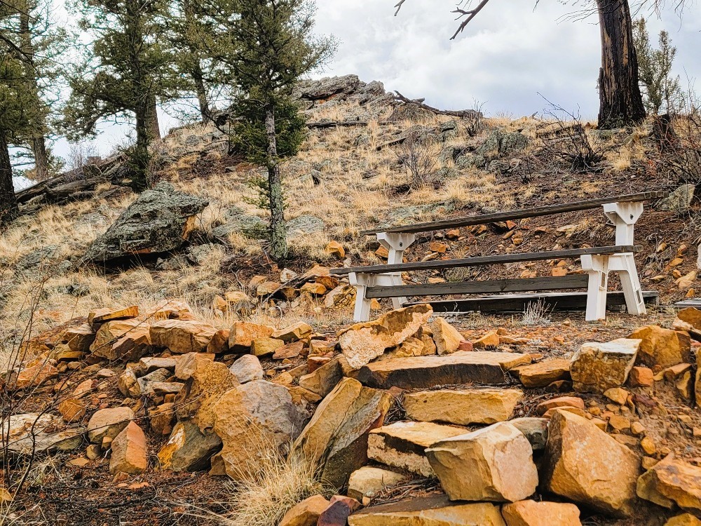 403 Redhill Road Fairplay, CO 80440 - Photo 18 of 40 a view of a yard with wooden fence