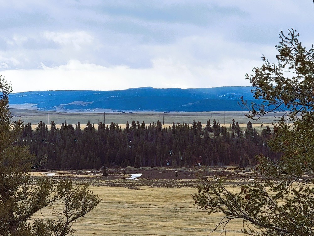 403 Redhill Road Fairplay, CO 80440 - Photo 19 of 40 a view of a house with a yard and wooden fence