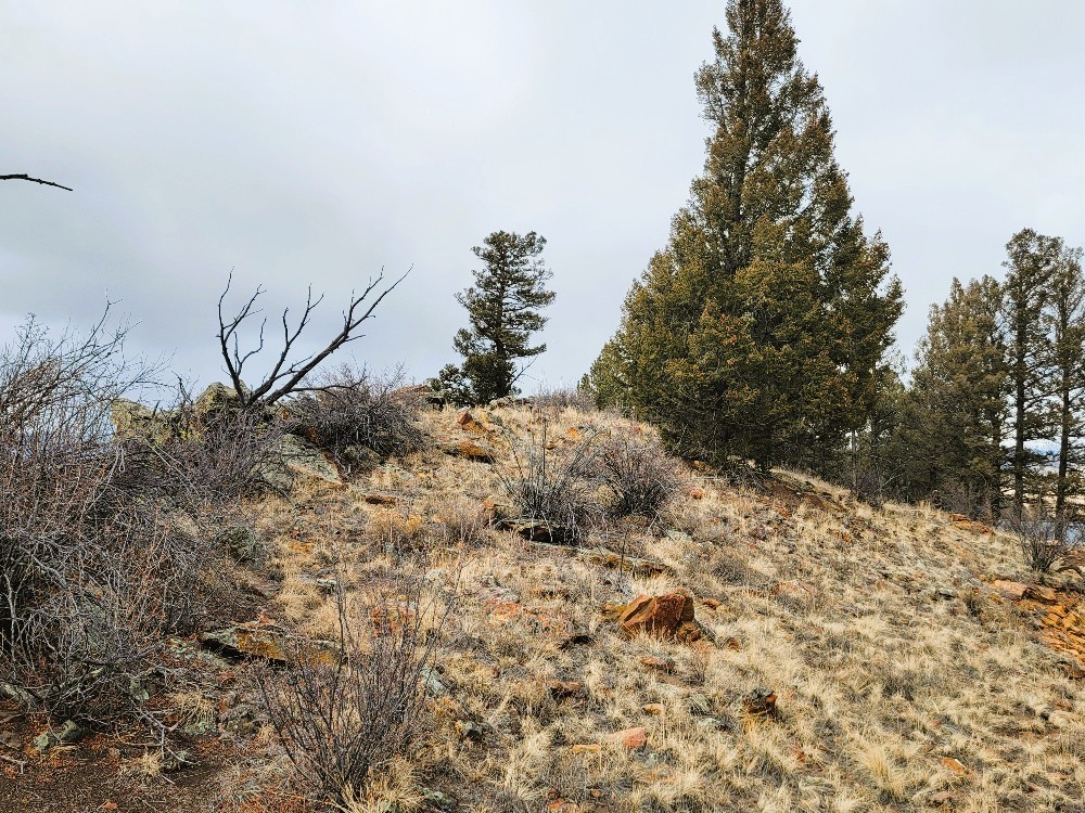 403 Redhill Road Fairplay, CO 80440 - Photo 21 of 40 a view of a snow in a yard