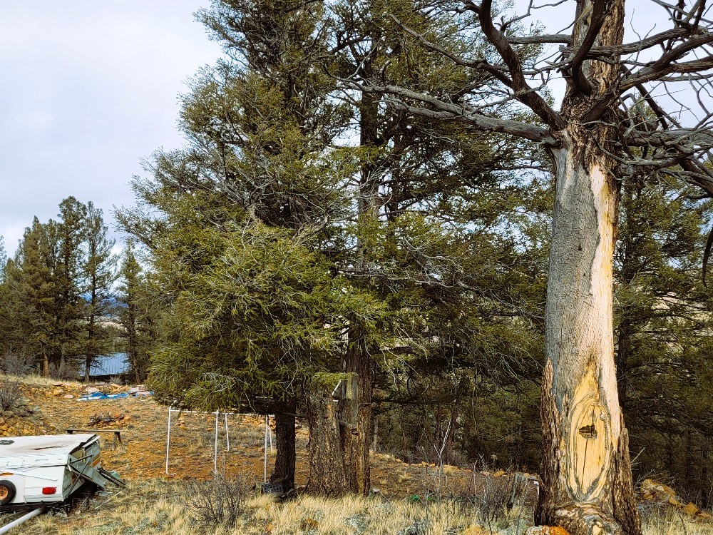 403 Redhill Road Fairplay, CO 80440 - Photo 26 of 40