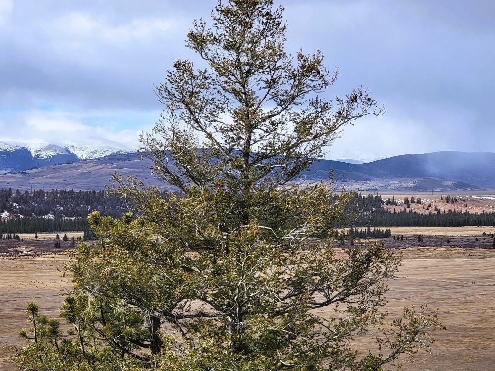 403 Redhill Road Fairplay, CO 80440 - Photo 27 of 40 a view of a lake with a mountain in the background