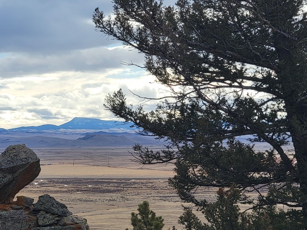 403 Redhill Road Fairplay, CO 80440 - Photo 3 of 40 a view of a backyard of the house