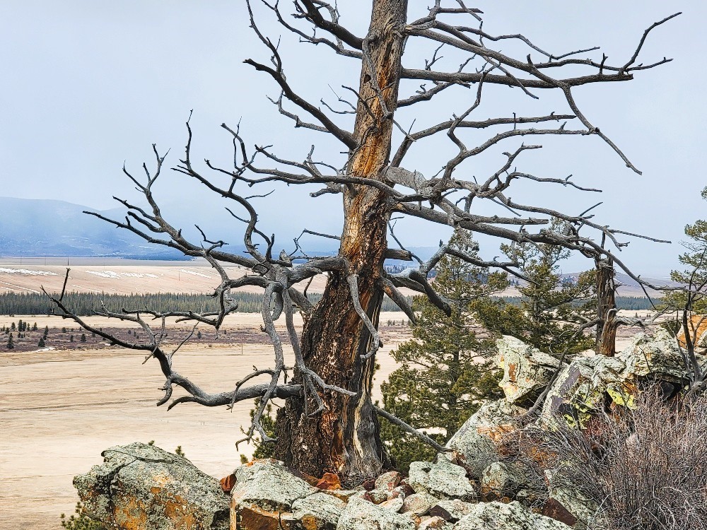 403 Redhill Road Fairplay, CO 80440 - Photo 36 of 40