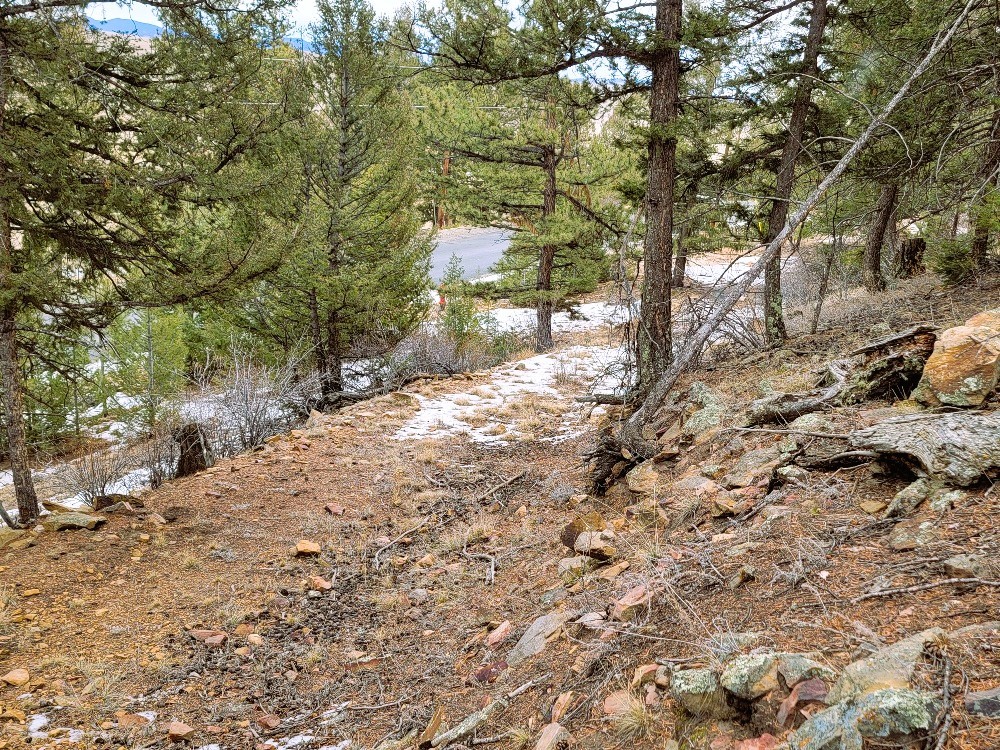 403 Redhill Road Fairplay, CO 80440 - Photo 39 of 40 a view of a yard with plants and trees