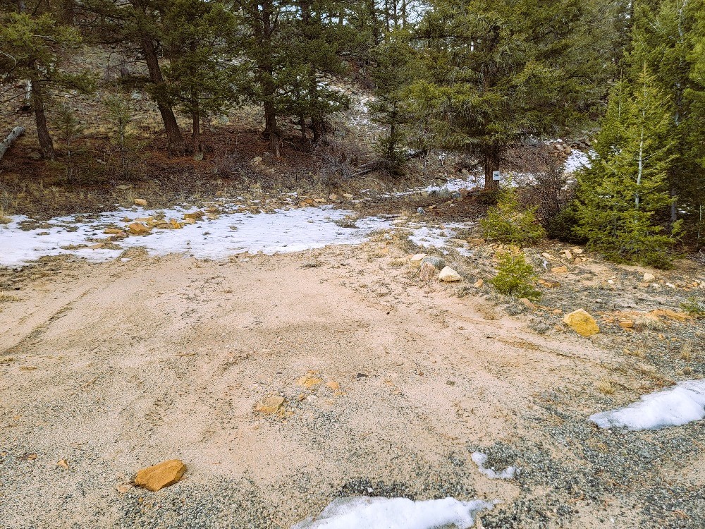 403 Redhill Road Fairplay, CO 80440 - Photo 5 of 40 a view of a yard with a tree