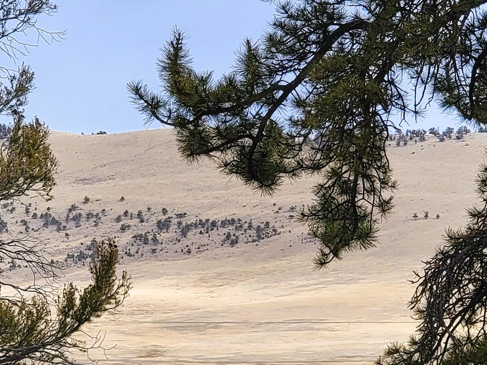 403 Redhill Road Fairplay, CO 80440 - Photo 8 of 40 a view of a snow on the beach