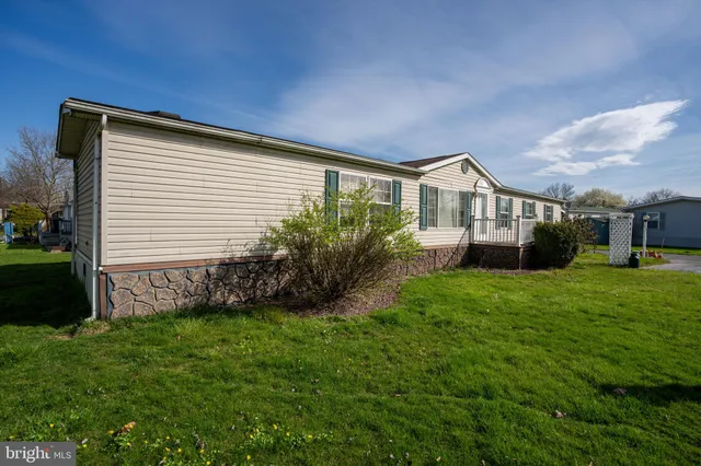a backyard of a house with plants and large tree