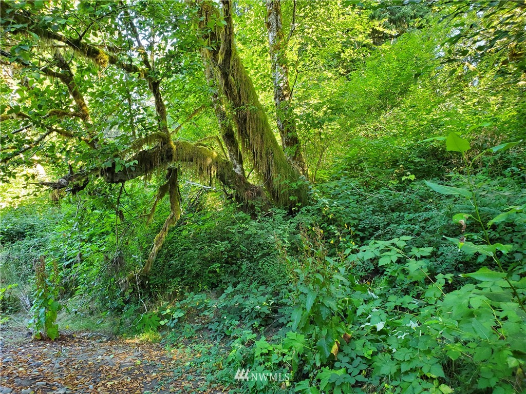 9999 South Lefler Rd Forks Forks, WA 98331 - Photo 2 of 14 Gallery Image 2