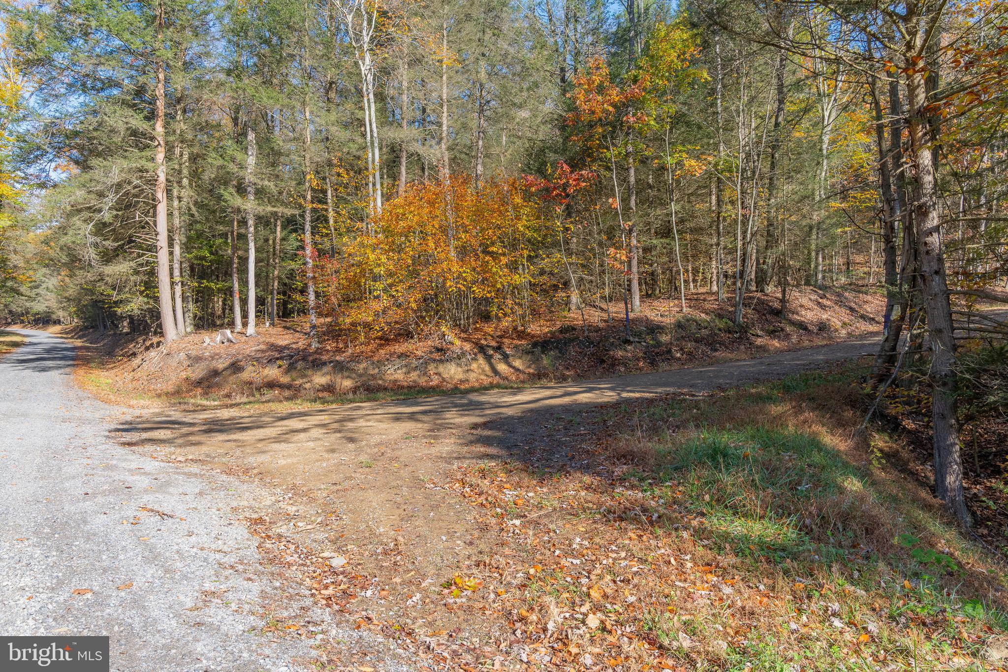 0 Keiser Road Curwensville, PA 16833 - Photo 16 of 27