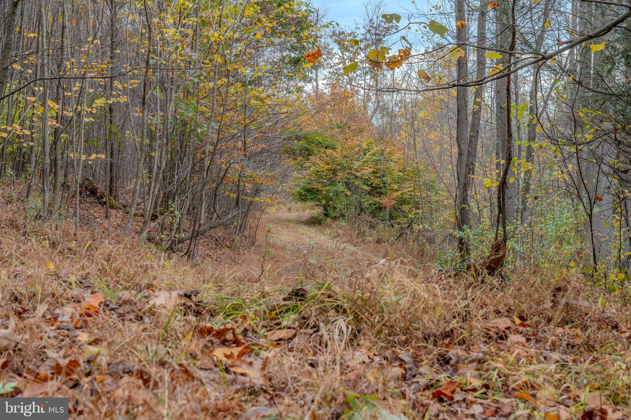 0 Keiser Road Curwensville, PA 16833 - Photo 17 of 27