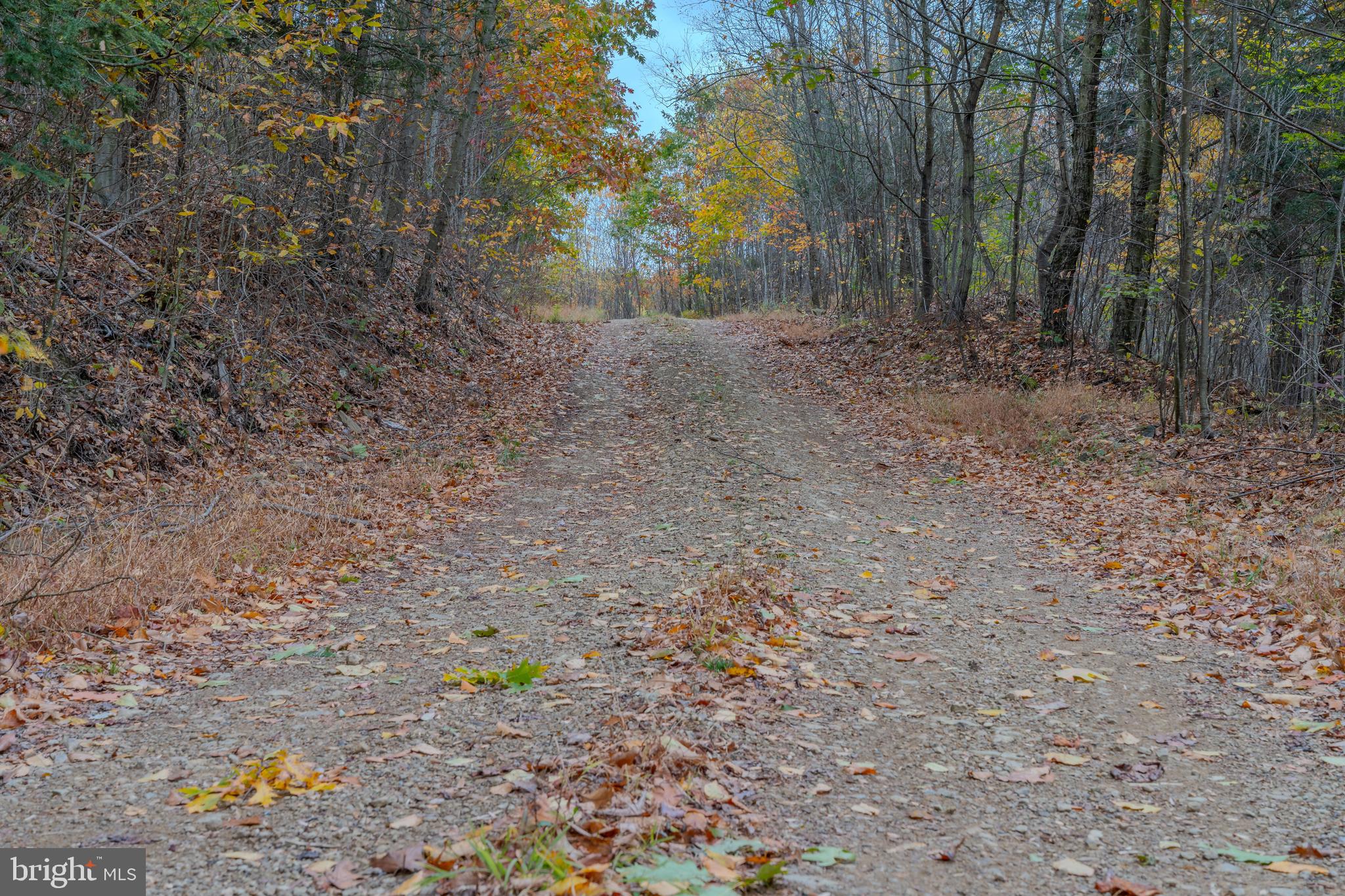0 Keiser Road Curwensville, PA 16833 - Photo 18 of 27