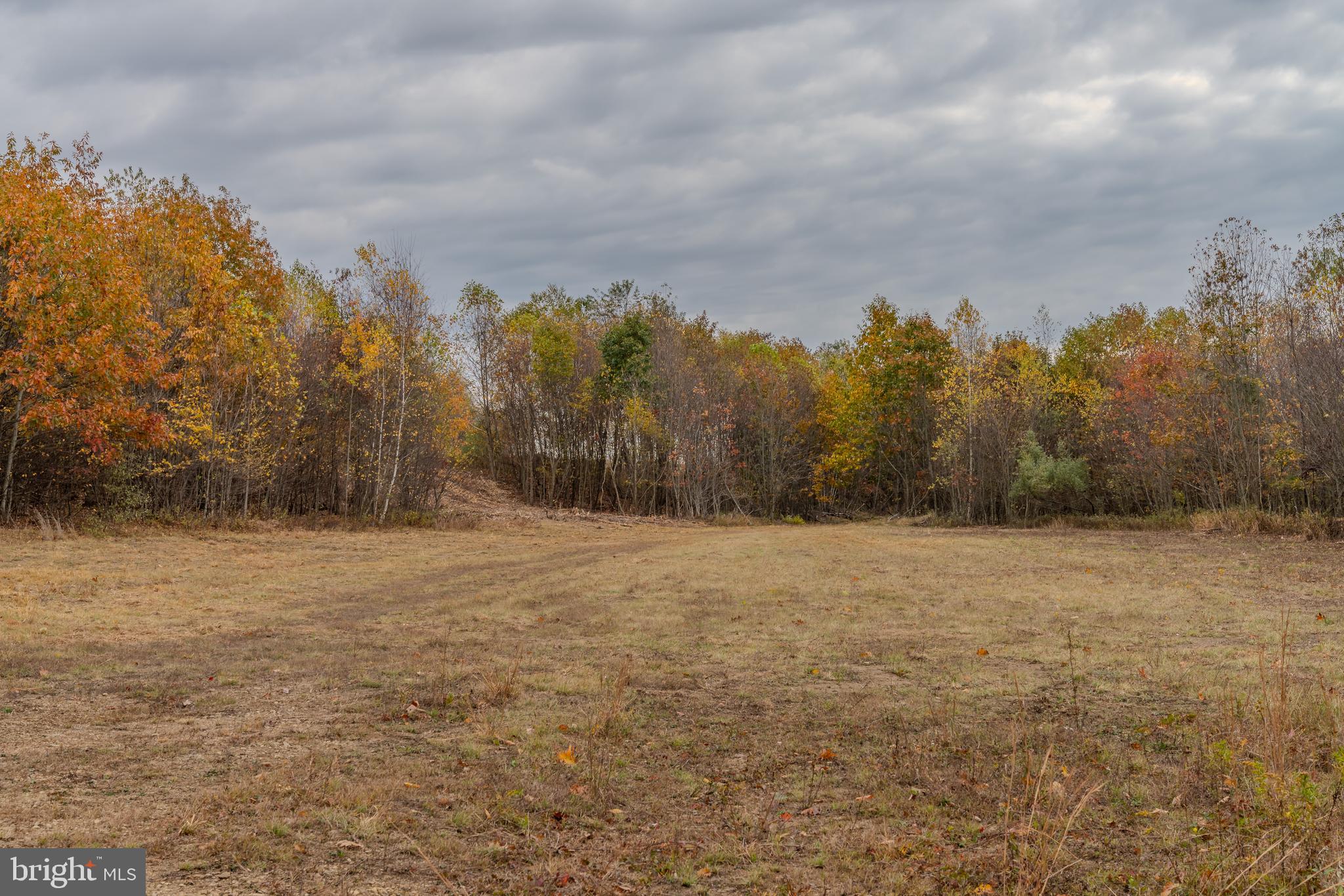 0 Keiser Road Curwensville, PA 16833 - Photo 19 of 27