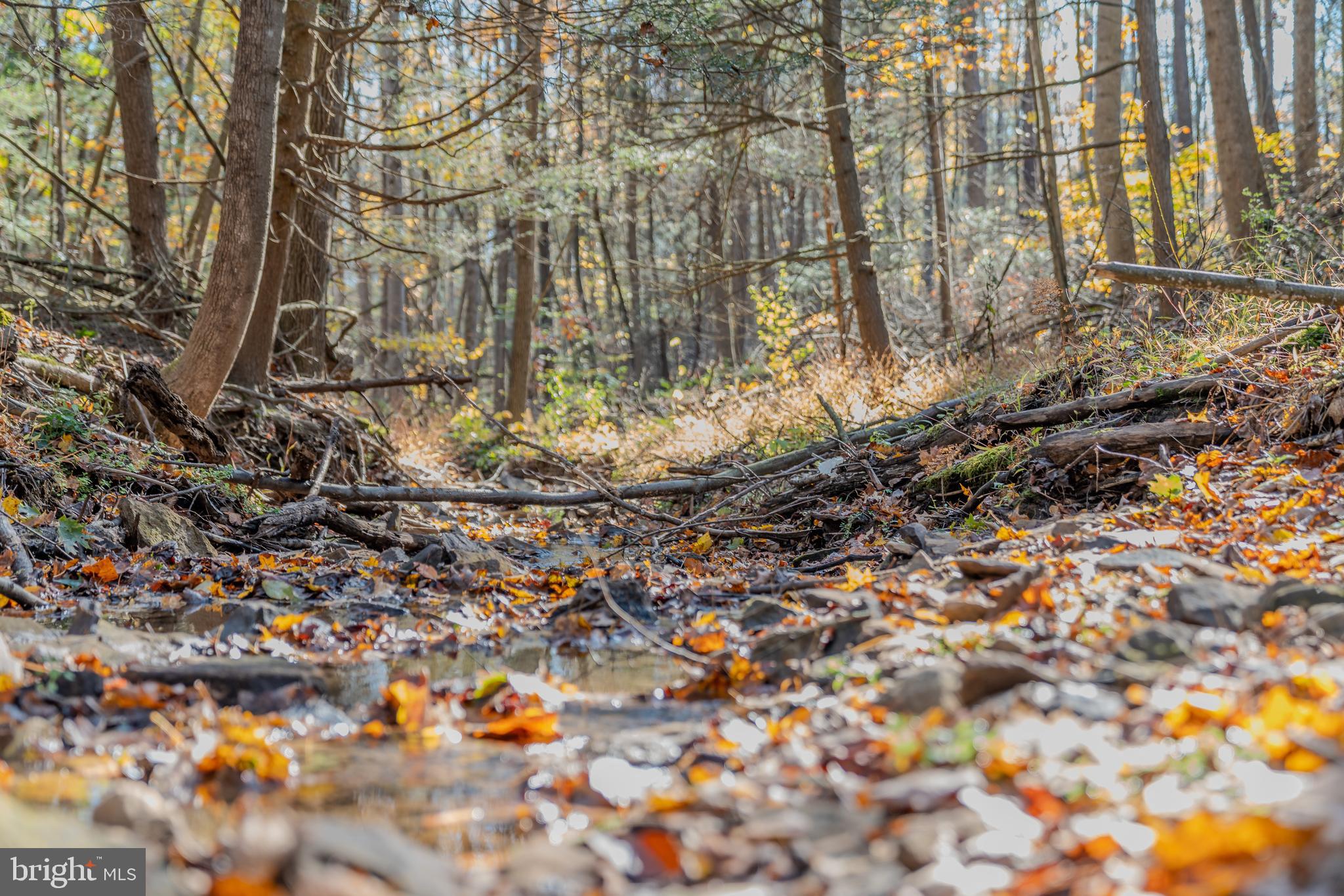 0 Keiser Road Curwensville, PA 16833 - Photo 25 of 27