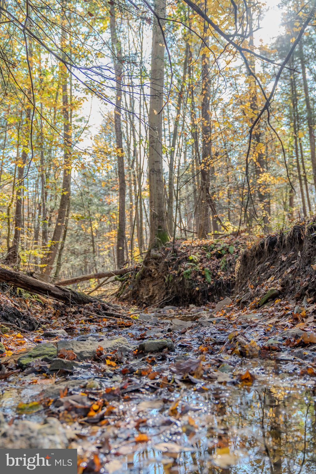 0 Keiser Road Curwensville, PA 16833 - Photo 27 of 27