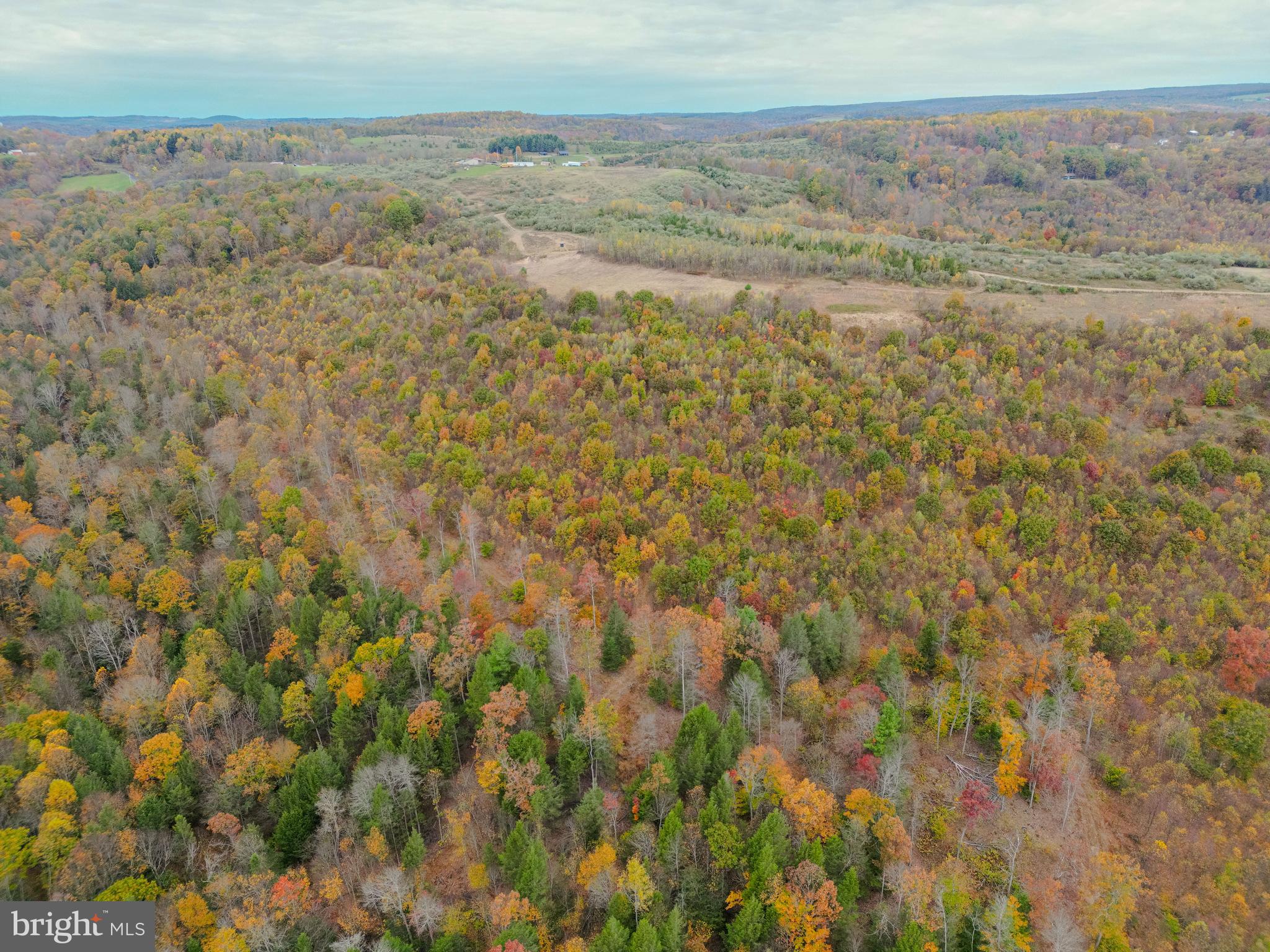0 Keiser Road Curwensville, PA 16833 - Photo 6 of 27