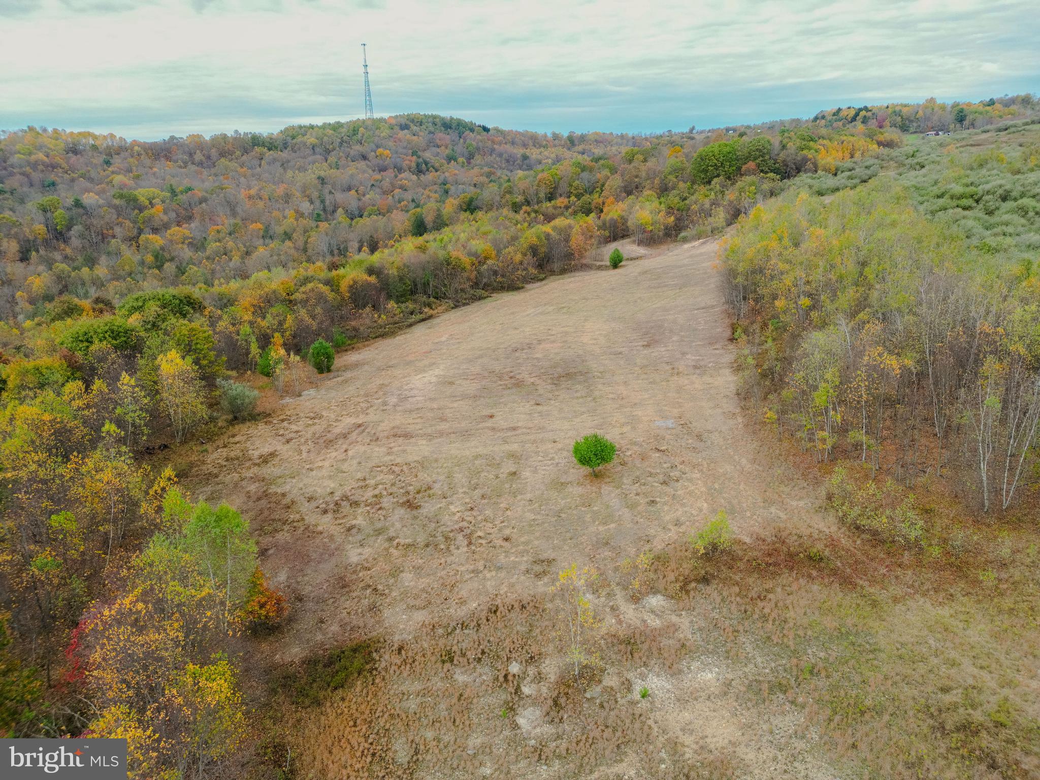 0 Keiser Road Curwensville, PA 16833 - Photo 7 of 27