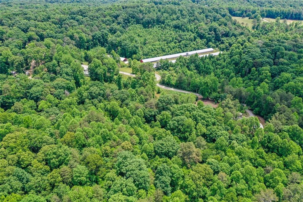 1010 Painter Road Talking Rock, GA 30175 - Photo 21 of 28 Gallery Image 21