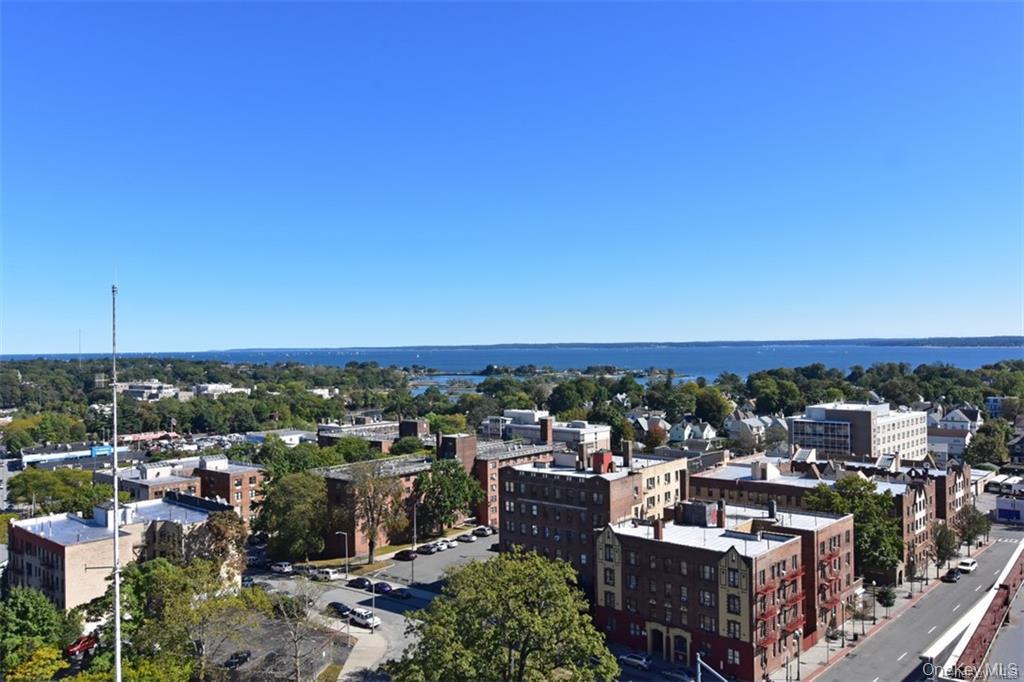 100 New Roc City Place, Unit 412 New Rochelle, NY 10801 - Photo 10 of 16