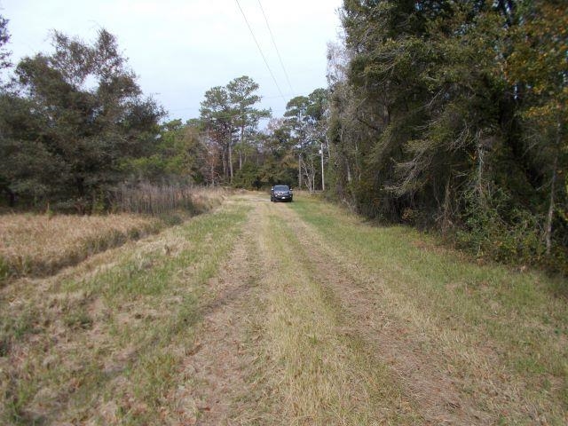 12230 Bay Road West Foley, AL 36535 - Photo 6 of 26