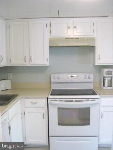 1610 Chimney House Road, Unit 1610 Reston, VA 20190 - Photo 3 of 12 Kitchen #2