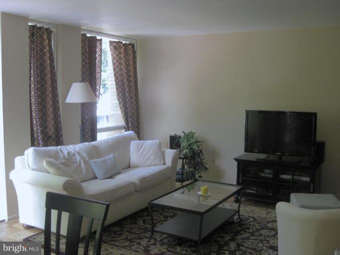 1610 Chimney House Road, Unit 1610 Reston, VA 20190 - Photo 8 of 12 Living Room #3