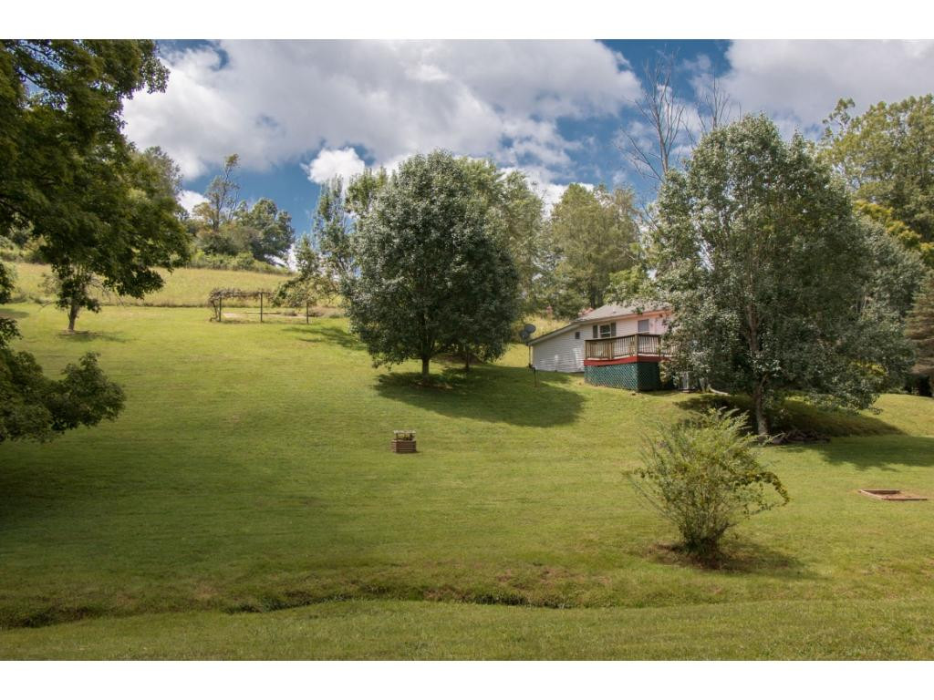 7390 Slaughter Road Bristol, VA 24202 - Photo 23 of 28 Babbling Creek on Property