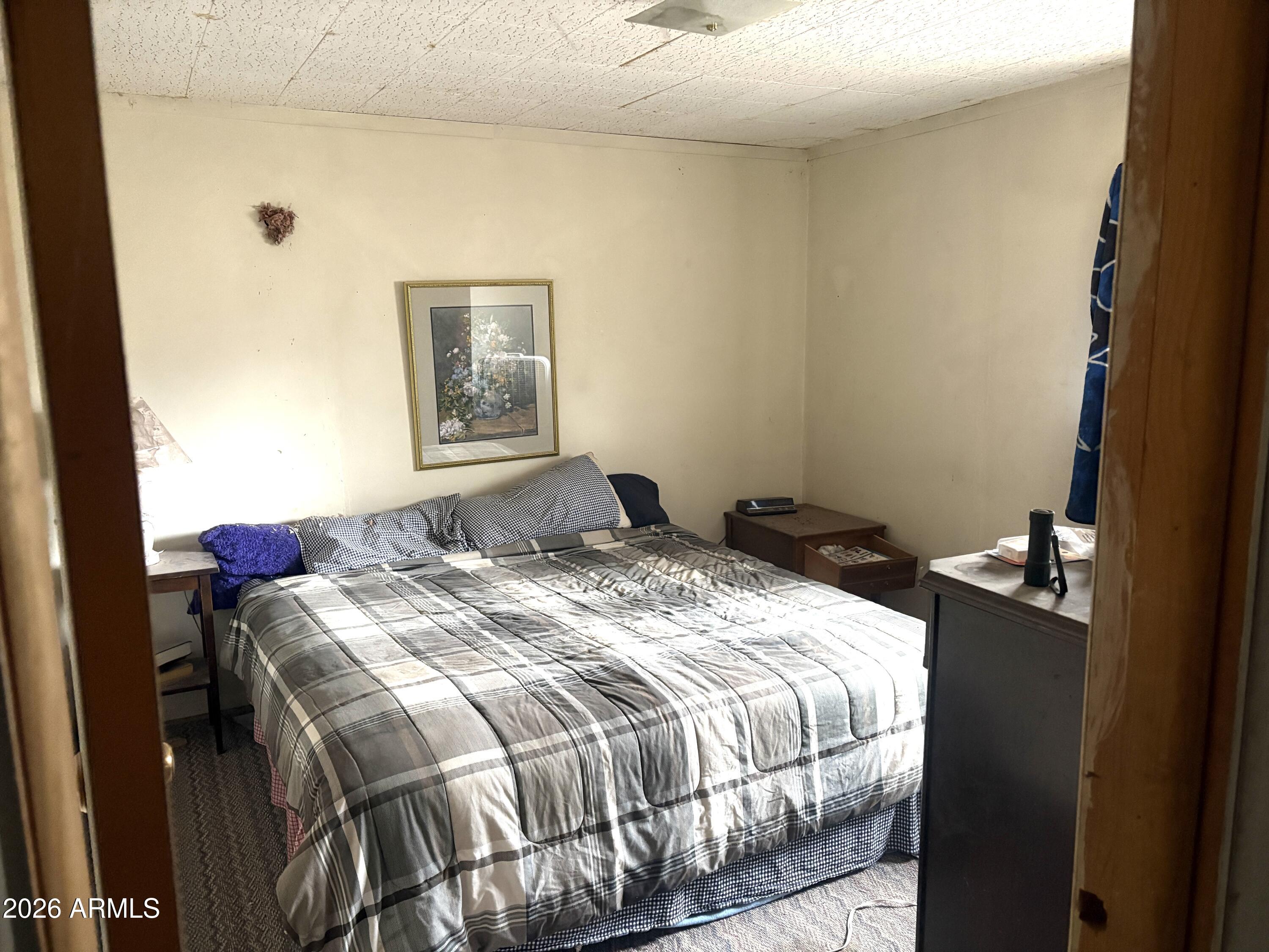 3130 Aspen Road Overgaard, AZ 85933 - Photo 15 of 30 King size bed