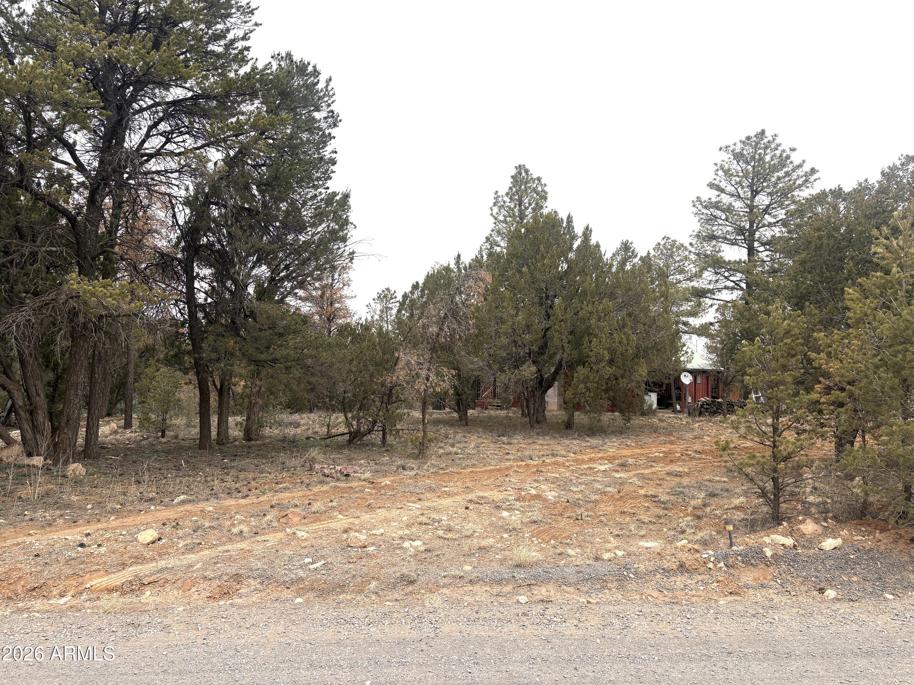 3130 Aspen Road Overgaard, AZ 85933 - Photo 2 of 30 Set back from the road