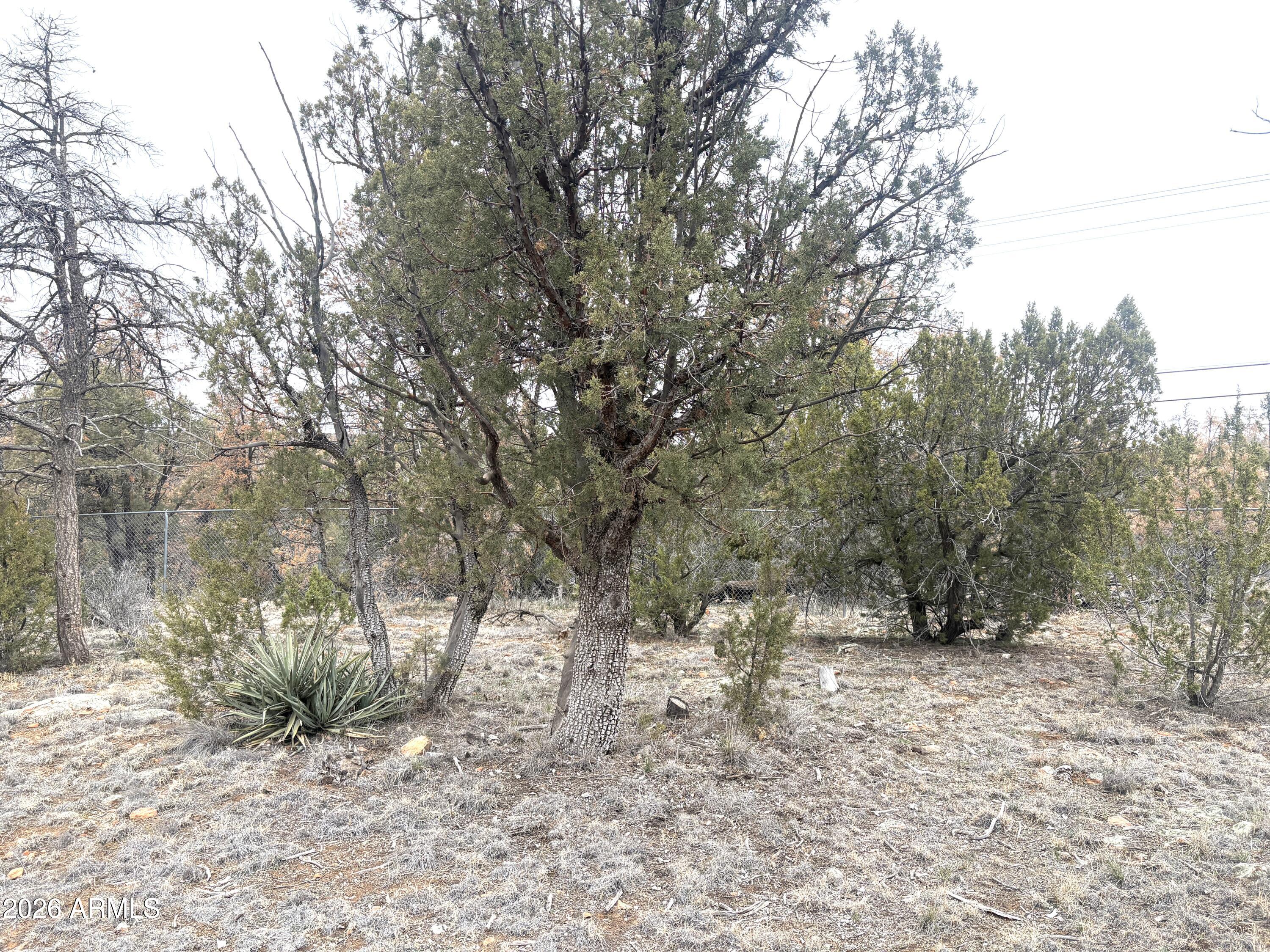 3130 Aspen Road Overgaard, AZ 85933 - Photo 21 of 30 Acre plus lot