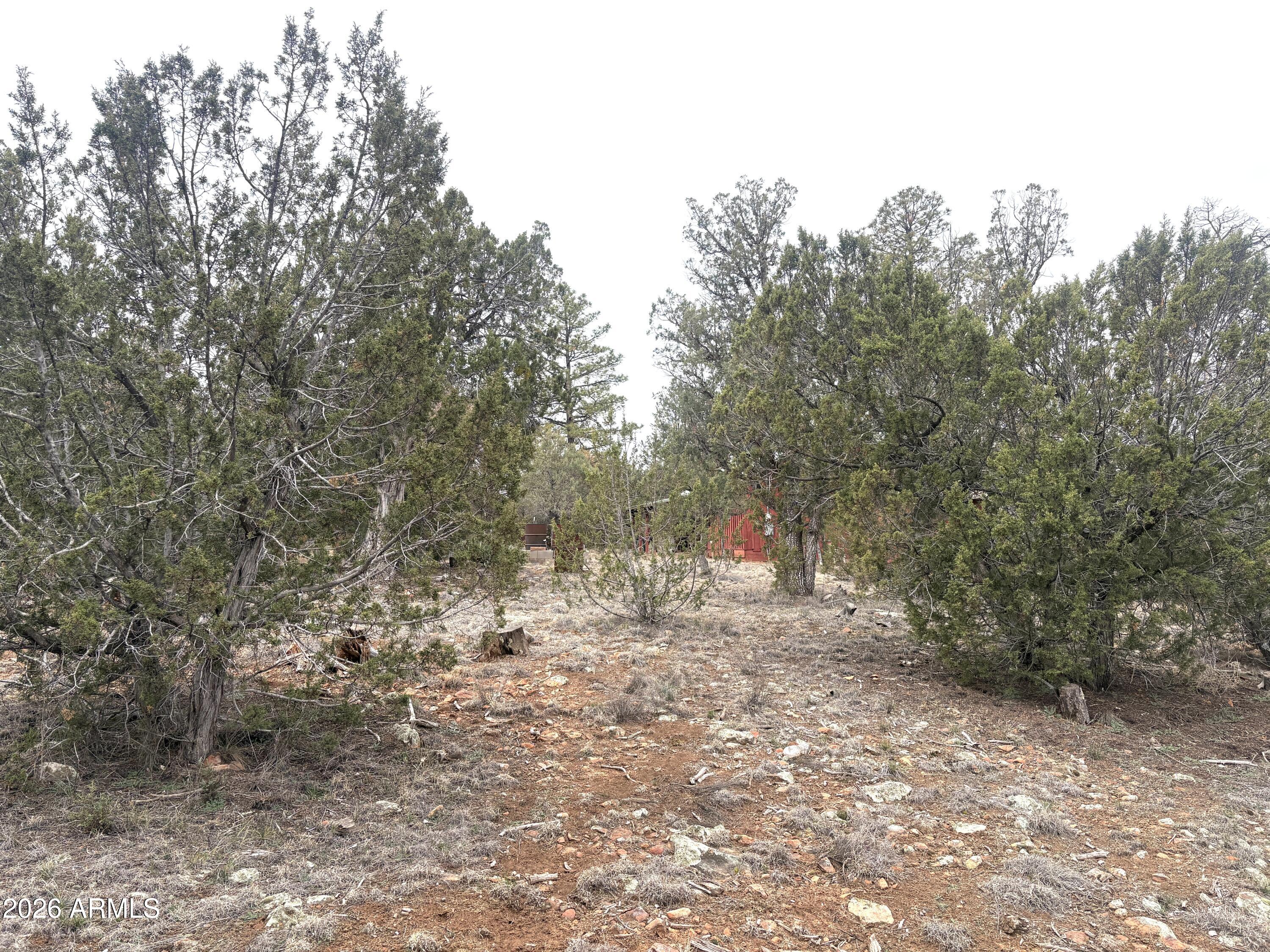 3130 Aspen Road Overgaard, AZ 85933 - Photo 29 of 30 Acre plus lot