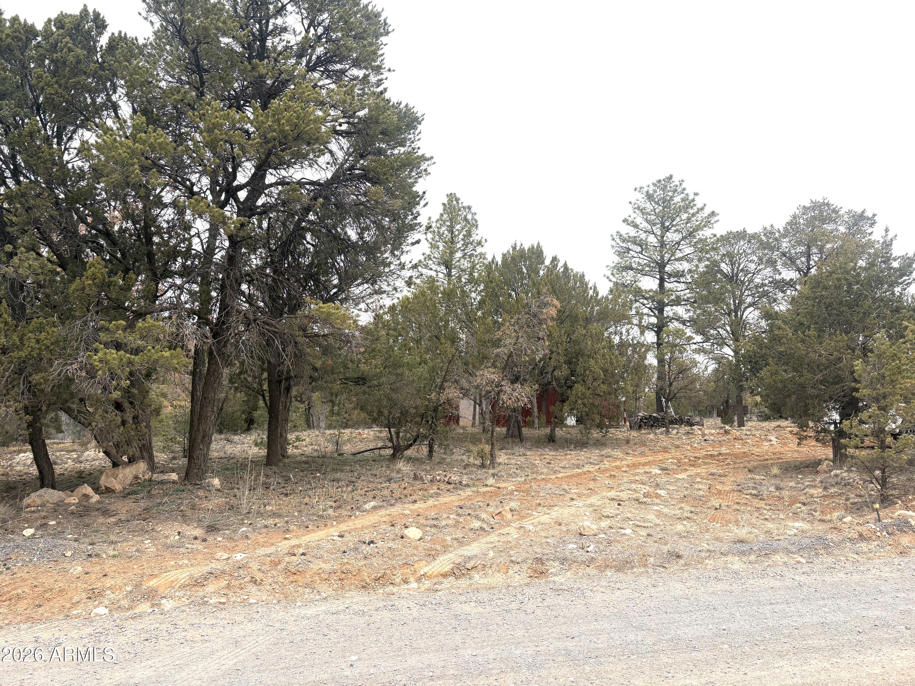 3130 Aspen Road Overgaard, AZ 85933 - Photo 30 of 30 IMG_5162
