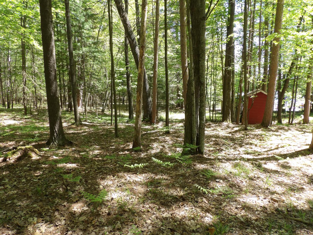 4051 Bass Lake Loop Rhinelander, WI 54501 - Photo 29 of 30 Gallery Image 29