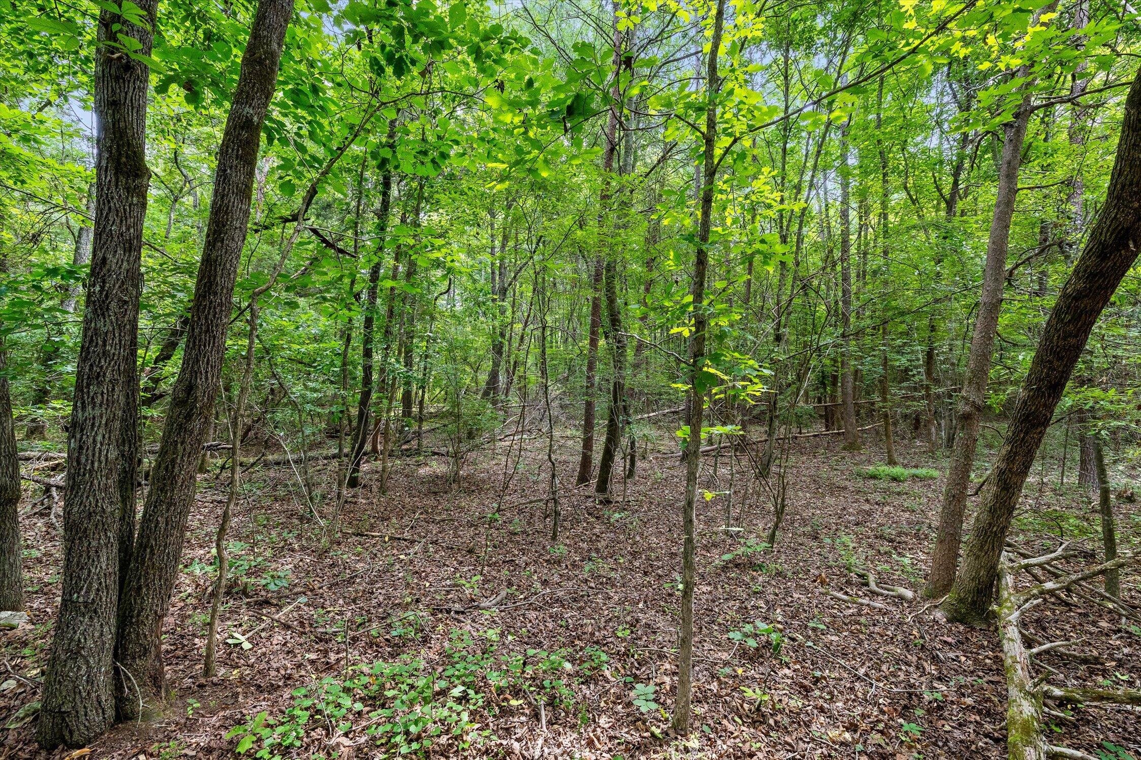 1906 Spradling Road Soddy-Daisy, TN 37379 - Photo 16 of 27 17-1906 Spradling-14