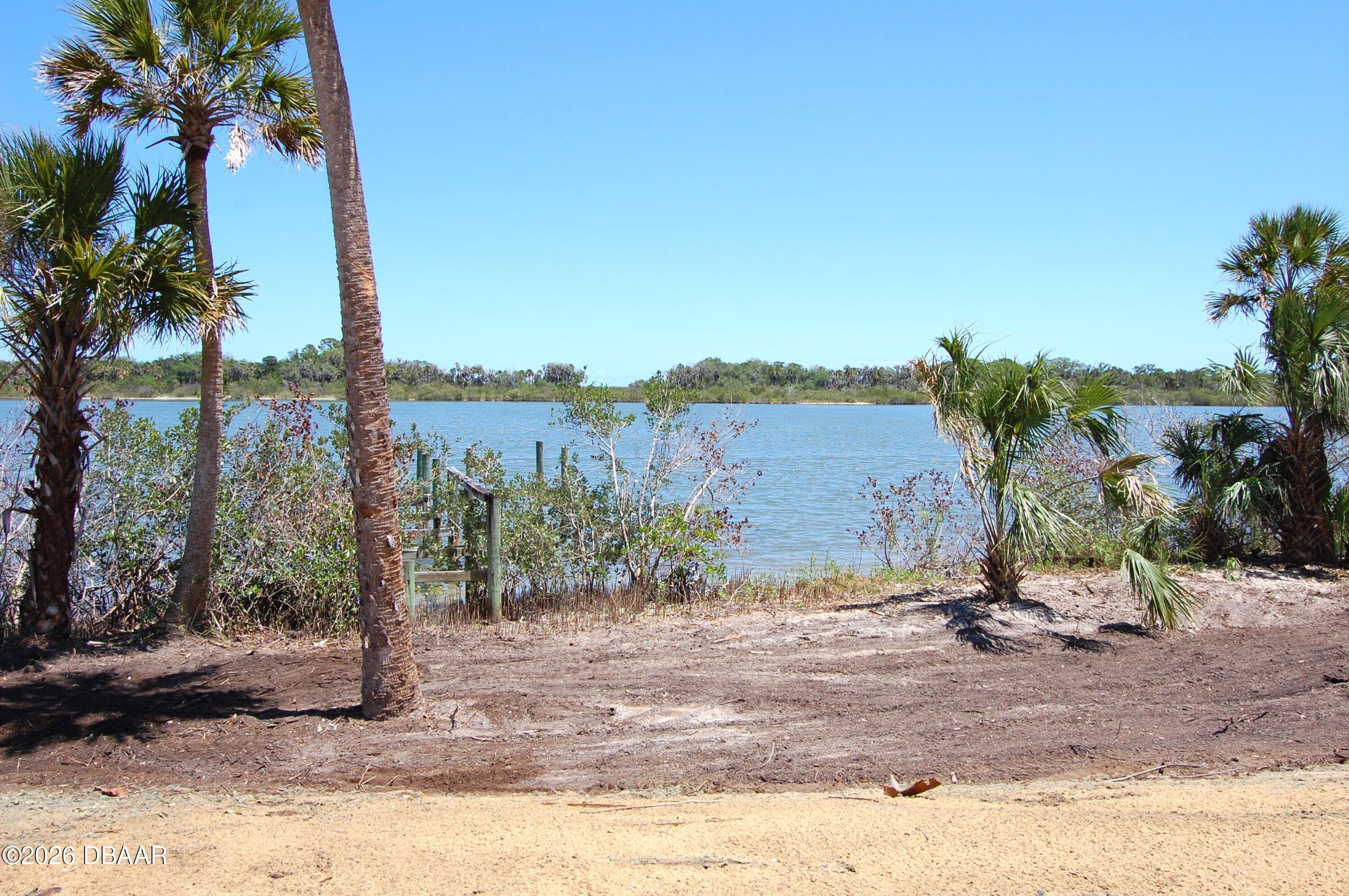 185 Jones Fish Camp Road Edgewater, FL 32141 - Photo 4 of 15 a view of a yard with palm tree