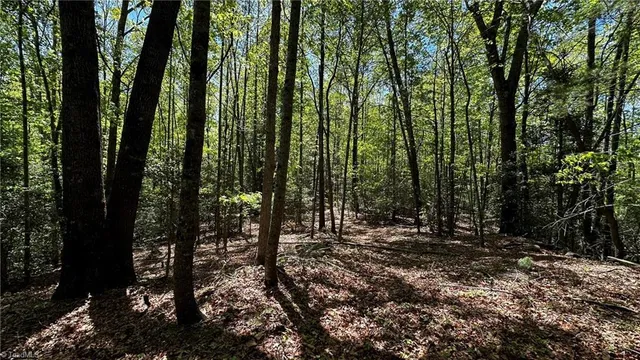 $1,984,400 | 6802 Highway 18, Boomer, NC 28606