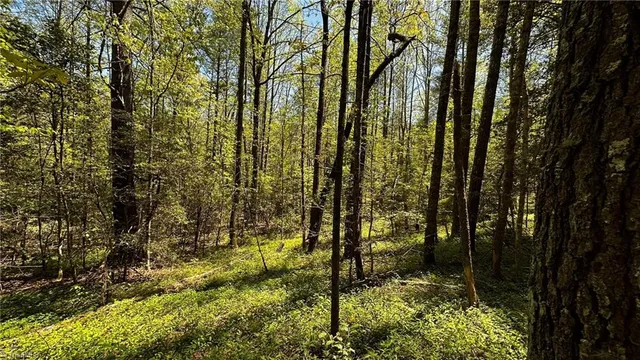 $1,984,400 | 6802 Highway 18, Boomer, NC 28606