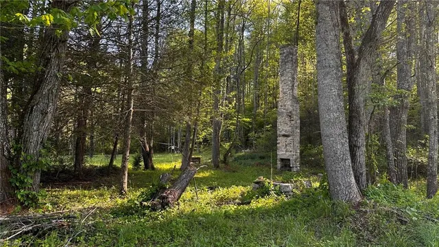 $1,984,400 | 6802 Highway 18, Boomer, NC 28606