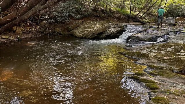 $1,984,400 | 6802 Highway 18, Boomer, NC 28606