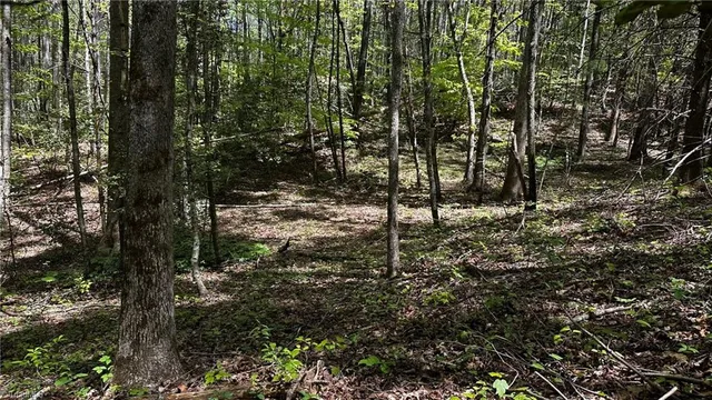 $1,984,400 | 6802 Highway 18, Boomer, NC 28606