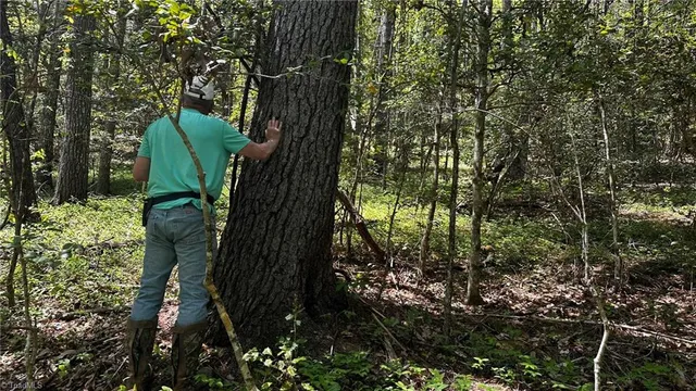 $1,984,400 | 6802 Highway 18, Boomer, NC 28606