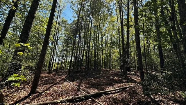 $1,984,400 | 6802 Highway 18, Boomer, NC 28606