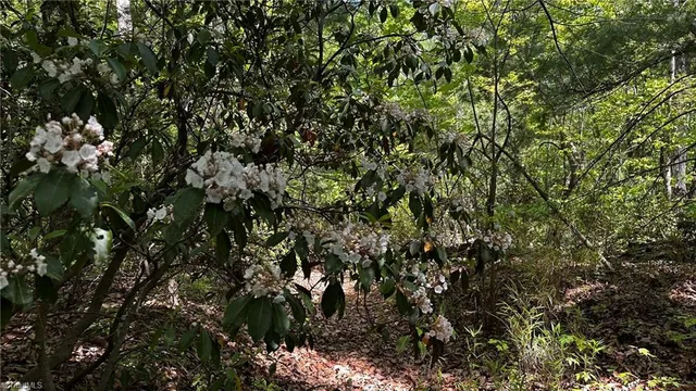 $1,984,400 | 6802 Highway 18, Boomer, NC 28606