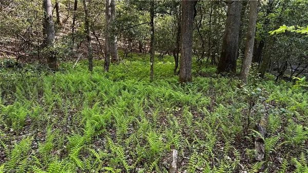 $1,984,400 | 6802 Highway 18, Boomer, NC 28606