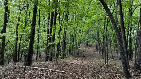 $1,984,400 | 6802 Highway 18, Boomer, NC 28606