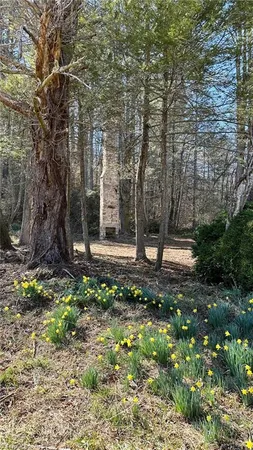 $1,984,400 | 6802 Highway 18, Boomer, NC 28606