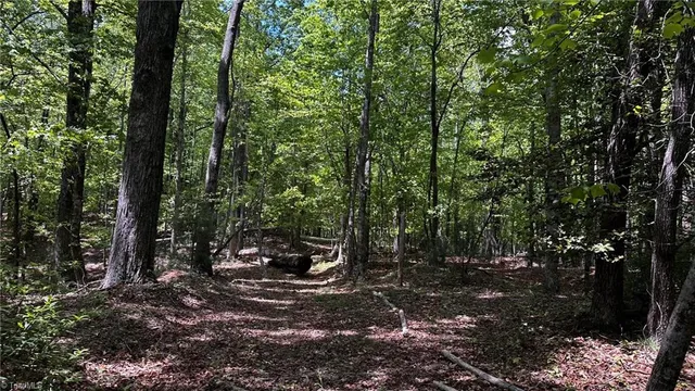 $1,984,400 | 6802 Highway 18, Boomer, NC 28606